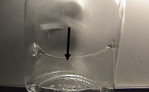 bird swing glass bottle defect